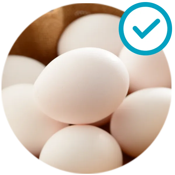 sqf nutricao alimentos permitidos ovos