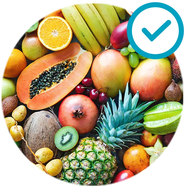 sqf nutricao alimentos permitidos frutas